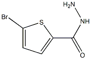 5-BROMOTHIOPHENE-2-CARBOHYDRAZIDE 结构式