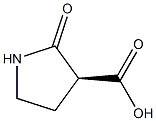 (S)-2-PYRROLIDINONE-3-CARBOXYLIC ACID 结构式