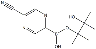 5-CYANOPYRAZINE-2-BORONIC ACID PINACOL ESTER 结构式