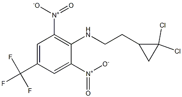 N1-[2-(2,2-dichlorocyclopropyl)ethyl]-2,6-dinitro-4-(trifluoromethyl)aniline 结构式