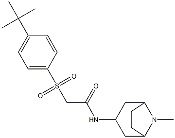 2-{[4-(tert-butyl)phenyl]sulfonyl}-N-(8-methyl-8-azabicyclo[3.2.1]oct-3-yl)acetamide 结构式