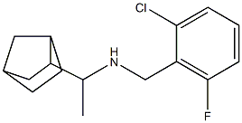 (1-{bicyclo[2.2.1]heptan-2-yl}ethyl)[(2-chloro-6-fluorophenyl)methyl]amine 结构式