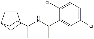 (1-{bicyclo[2.2.1]heptan-2-yl}ethyl)[1-(2,5-dichlorophenyl)ethyl]amine 结构式