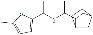 (1-{bicyclo[2.2.1]heptan-2-yl}ethyl)[1-(5-methylfuran-2-yl)ethyl]amine 结构式