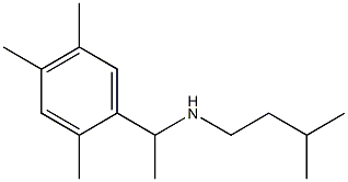 (3-methylbutyl)[1-(2,4,5-trimethylphenyl)ethyl]amine 结构式