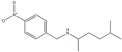 (5-methylhexan-2-yl)[(4-nitrophenyl)methyl]amine 结构式