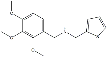 (thiophen-2-ylmethyl)[(2,3,4-trimethoxyphenyl)methyl]amine 结构式