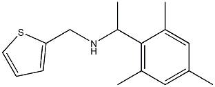 (thiophen-2-ylmethyl)[1-(2,4,6-trimethylphenyl)ethyl]amine 结构式