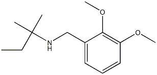 [(2,3-dimethoxyphenyl)methyl](2-methylbutan-2-yl)amine 结构式