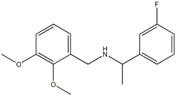 [(2,3-dimethoxyphenyl)methyl][1-(3-fluorophenyl)ethyl]amine 结构式