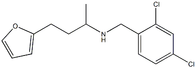 [(2,4-dichlorophenyl)methyl][4-(furan-2-yl)butan-2-yl]amine 结构式