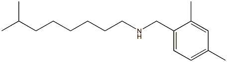 [(2,4-dimethylphenyl)methyl](7-methyloctyl)amine 结构式