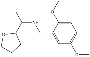 [(2,5-dimethoxyphenyl)methyl][1-(oxolan-2-yl)ethyl]amine 结构式