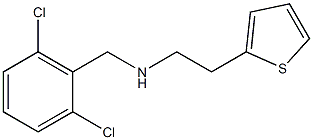 [(2,6-dichlorophenyl)methyl][2-(thiophen-2-yl)ethyl]amine 结构式