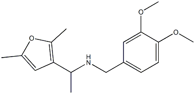 [(3,4-dimethoxyphenyl)methyl][1-(2,5-dimethylfuran-3-yl)ethyl]amine 结构式