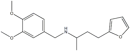 [(3,4-dimethoxyphenyl)methyl][4-(furan-2-yl)butan-2-yl]amine 结构式
