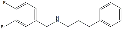 [(3-bromo-4-fluorophenyl)methyl](3-phenylpropyl)amine 结构式