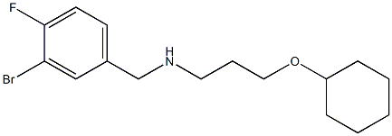 [(3-bromo-4-fluorophenyl)methyl][3-(cyclohexyloxy)propyl]amine 结构式