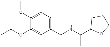 [(3-ethoxy-4-methoxyphenyl)methyl][1-(oxolan-2-yl)ethyl]amine 结构式