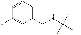 [(3-fluorophenyl)methyl](2-methylbutan-2-yl)amine 结构式