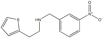 [(3-nitrophenyl)methyl][2-(thiophen-2-yl)ethyl]amine 结构式