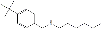 [(4-tert-butylphenyl)methyl](hexyl)amine 结构式