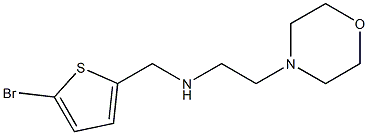 [(5-bromothiophen-2-yl)methyl][2-(morpholin-4-yl)ethyl]amine 结构式