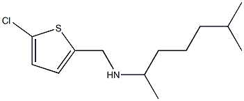 [(5-chlorothiophen-2-yl)methyl](6-methylheptan-2-yl)amine 结构式