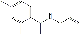 [1-(2,4-dimethylphenyl)ethyl](prop-2-en-1-yl)amine 结构式