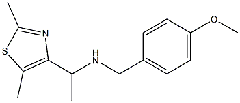 [1-(2,5-dimethyl-1,3-thiazol-4-yl)ethyl][(4-methoxyphenyl)methyl]amine 结构式