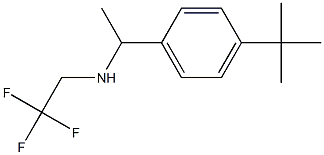 [1-(4-tert-butylphenyl)ethyl](2,2,2-trifluoroethyl)amine 结构式