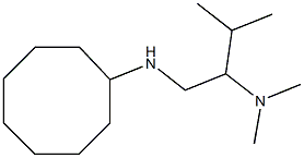 [1-(cyclooctylamino)-3-methylbutan-2-yl]dimethylamine 结构式