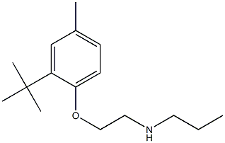 [2-(2-tert-butyl-4-methylphenoxy)ethyl](propyl)amine 结构式