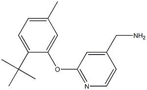 [2-(2-tert-butyl-5-methylphenoxy)pyridin-4-yl]methanamine 结构式