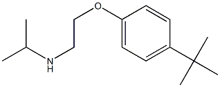 [2-(4-tert-butylphenoxy)ethyl](propan-2-yl)amine 结构式
