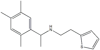 [2-(thiophen-2-yl)ethyl][1-(2,4,5-trimethylphenyl)ethyl]amine 结构式