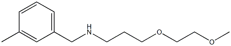 [3-(2-methoxyethoxy)propyl][(3-methylphenyl)methyl]amine 结构式