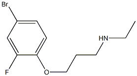 [3-(4-bromo-2-fluorophenoxy)propyl](ethyl)amine 结构式