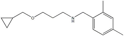 [3-(cyclopropylmethoxy)propyl][(2,4-dimethylphenyl)methyl]amine 结构式