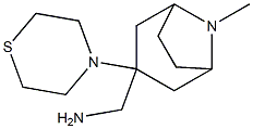 [8-methyl-3-(thiomorpholin-4-yl)-8-azabicyclo[3.2.1]octan-3-yl]methanamine 结构式