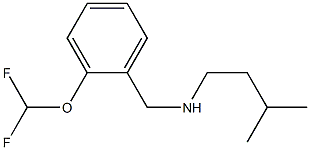 {[2-(difluoromethoxy)phenyl]methyl}(3-methylbutyl)amine 结构式