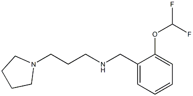 {[2-(difluoromethoxy)phenyl]methyl}[3-(pyrrolidin-1-yl)propyl]amine 结构式