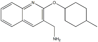 {2-[(4-methylcyclohexyl)oxy]quinolin-3-yl}methanamine 结构式