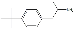 1-(4-tert-butylphenyl)propan-2-amine 结构式