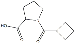 1-(cyclobutylcarbonyl)pyrrolidine-2-carboxylic acid 结构式