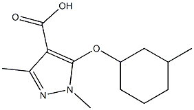 1,3-dimethyl-5-[(3-methylcyclohexyl)oxy]-1H-pyrazole-4-carboxylic acid 结构式