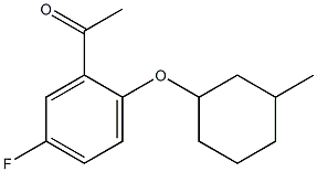 1-{5-fluoro-2-[(3-methylcyclohexyl)oxy]phenyl}ethan-1-one 结构式