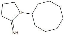 1-cyclooctylpyrrolidin-2-imine 结构式