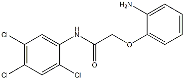 2-(2-aminophenoxy)-N-(2,4,5-trichlorophenyl)acetamide 结构式