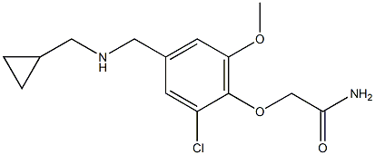 2-(2-chloro-4-{[(cyclopropylmethyl)amino]methyl}-6-methoxyphenoxy)acetamide 结构式